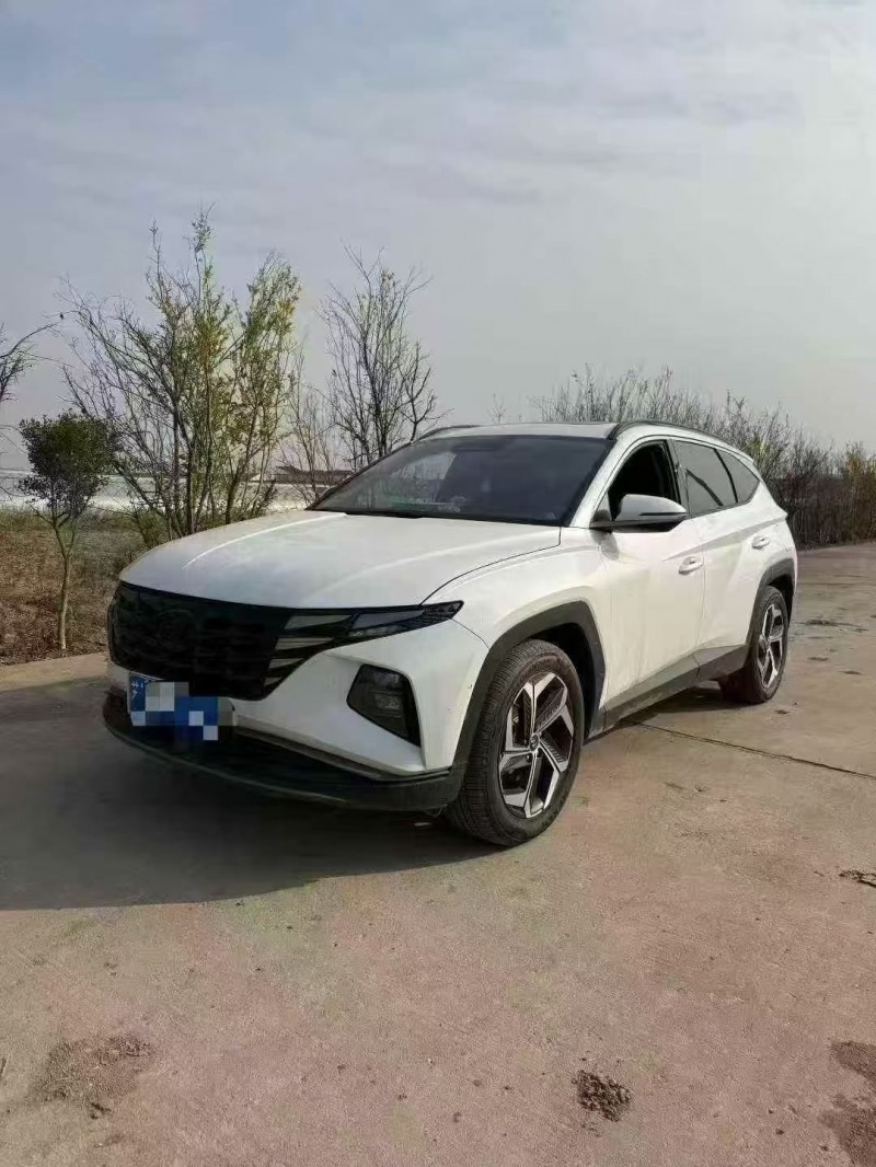 24年南京现代途胜