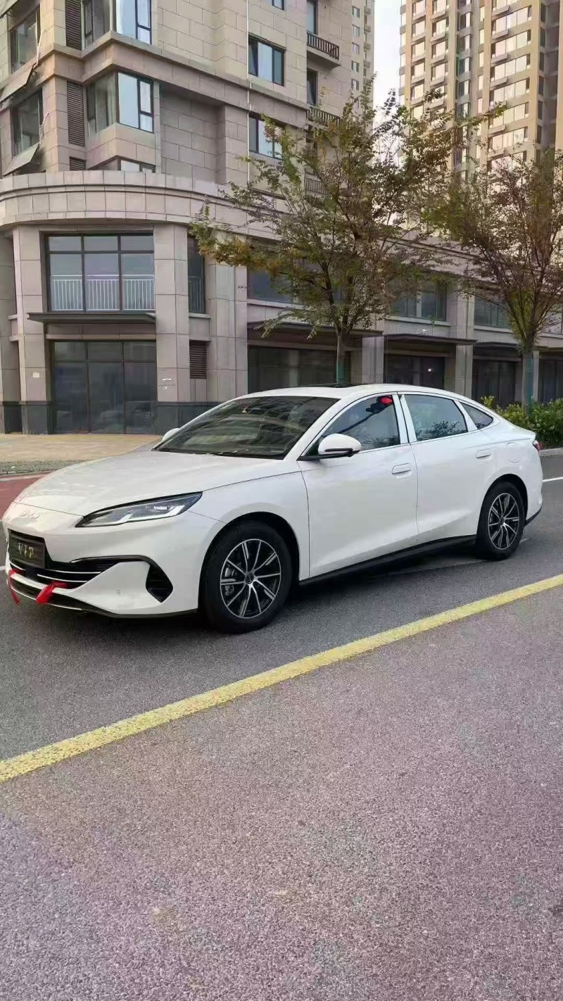 25年青岛比亚迪海豹