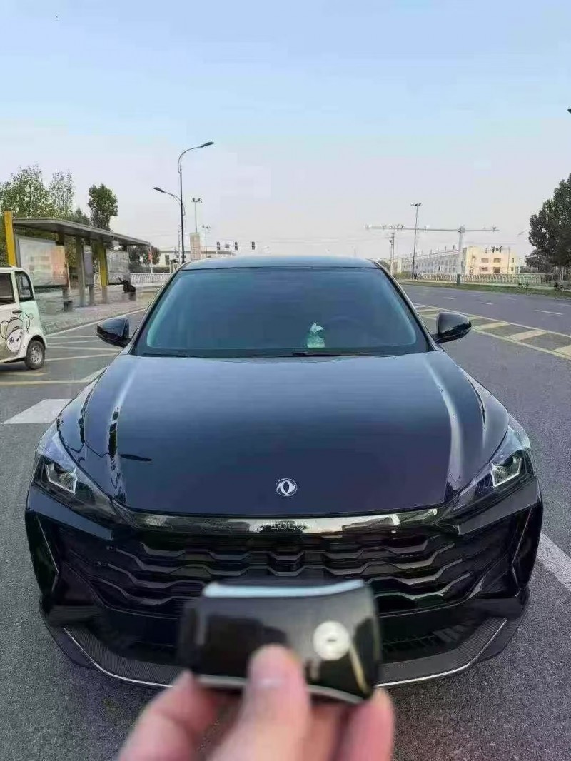 25年淮南东风奕炫