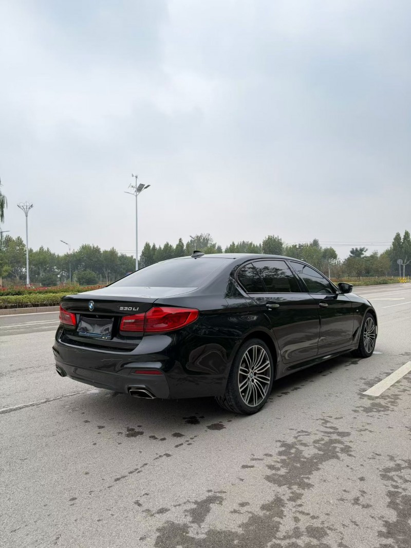 19年枣庄宝马5系