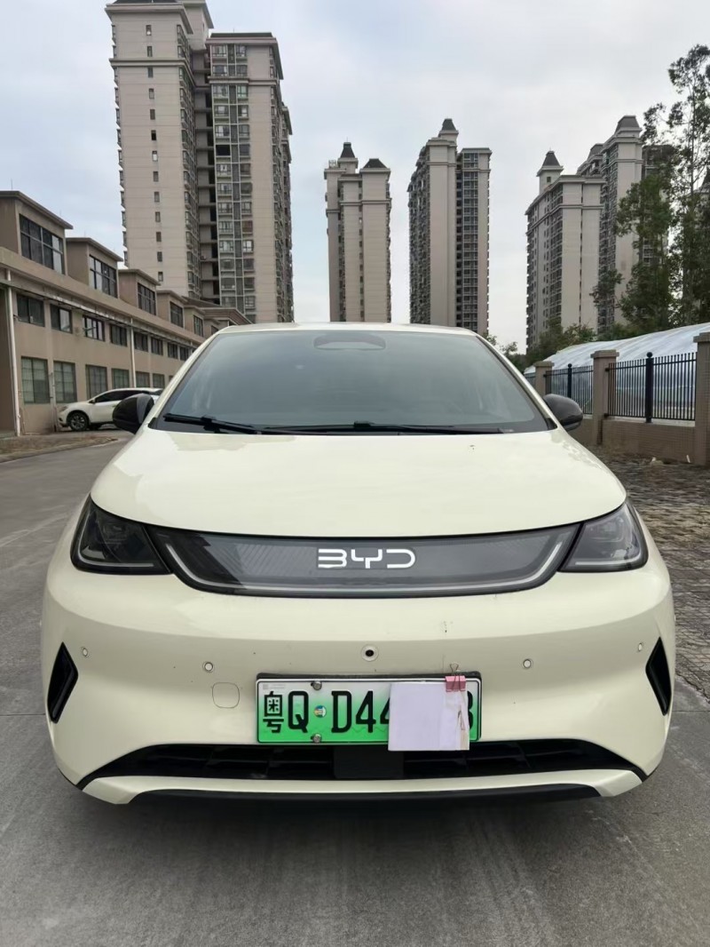 25年江门比亚迪海豚