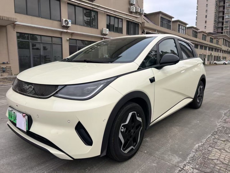 25年江门比亚迪海豚