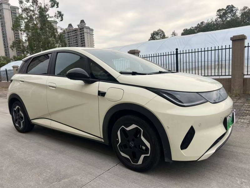 25年江门比亚迪海豚