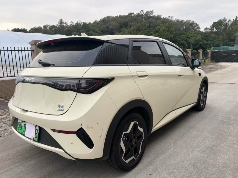 25年江门比亚迪海豚