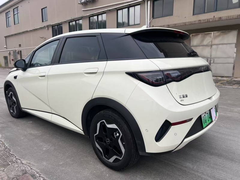 25年江门比亚迪海豚