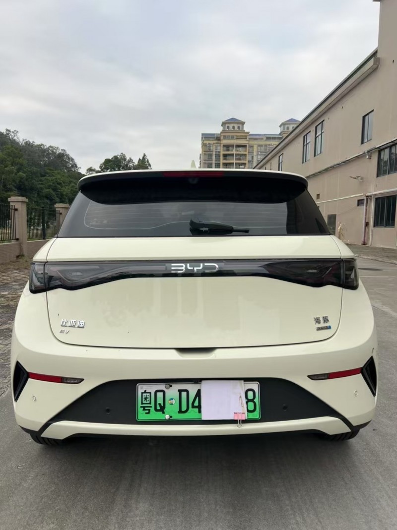 25年江门比亚迪海豚