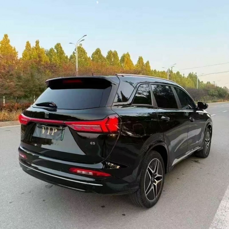 24年潍坊东风蓝电E5