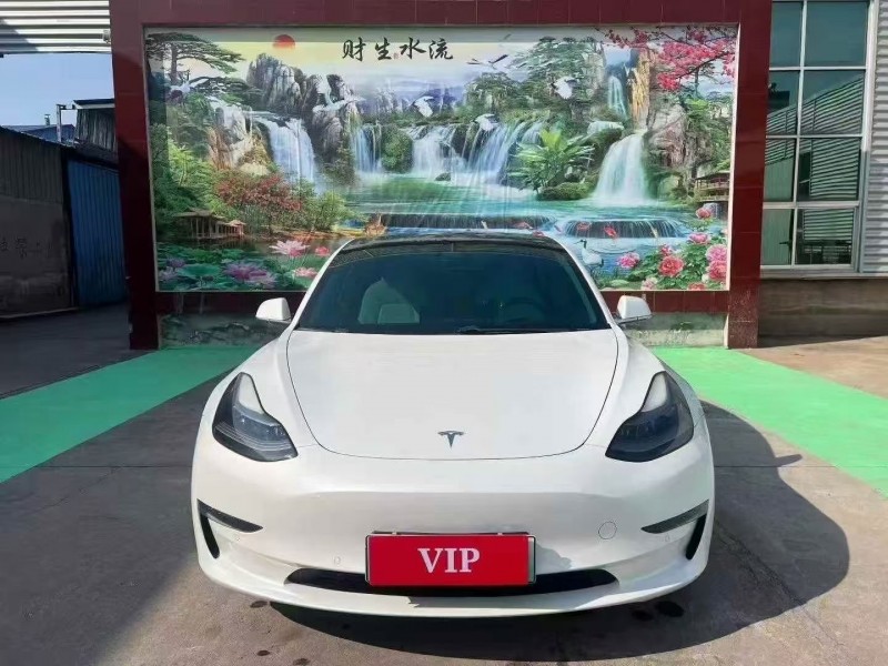 20年聊城特斯拉MODEL 3