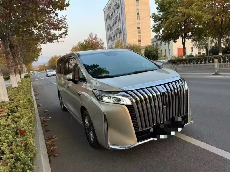 24年枣庄长城汽车魏牌高山