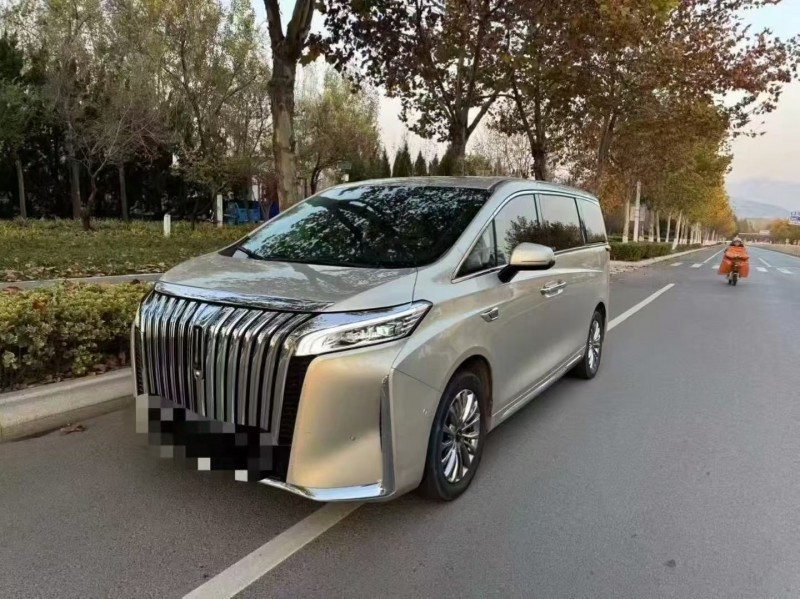 24年枣庄长城汽车魏牌高山