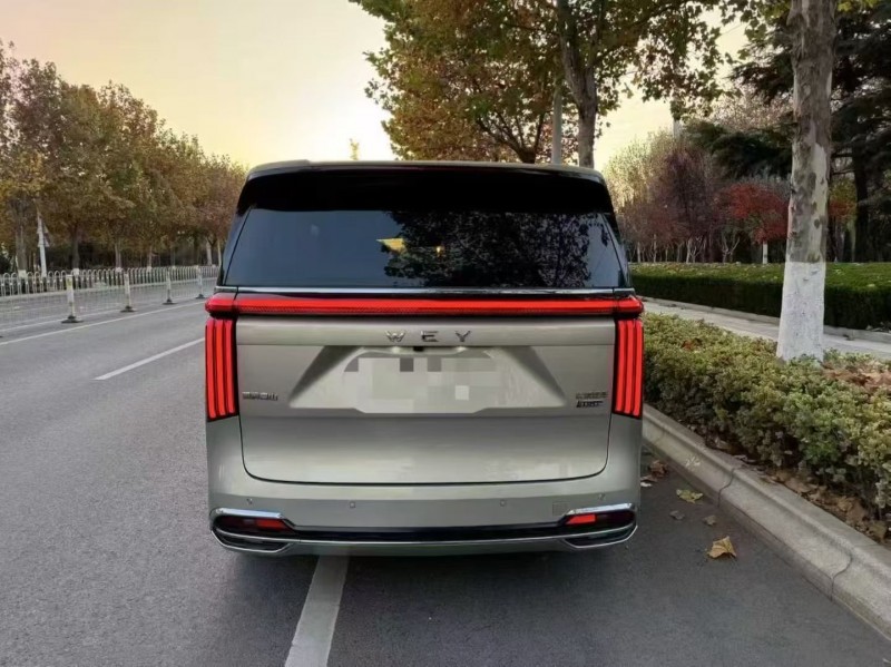 24年枣庄长城汽车魏牌高山