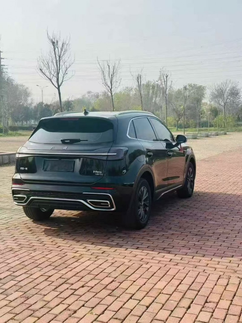 25年枣庄红旗HS5