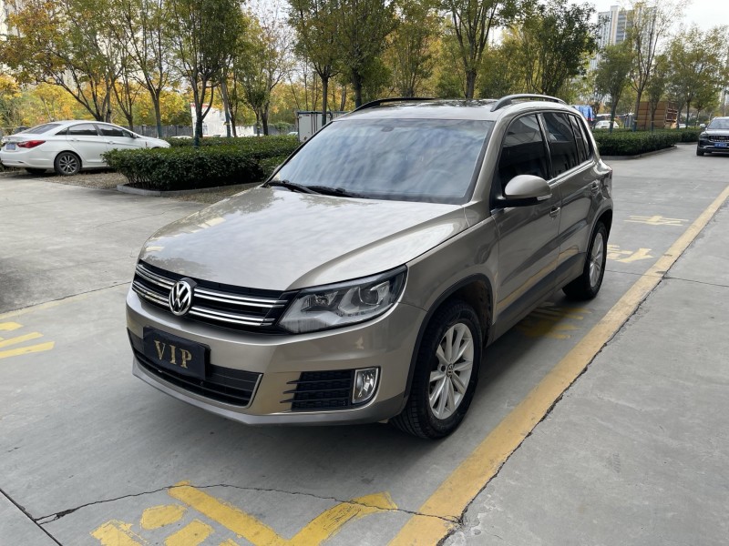 17年济宁大众途观