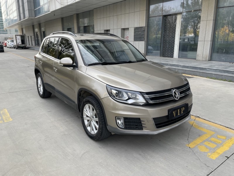 17年济宁大众途观