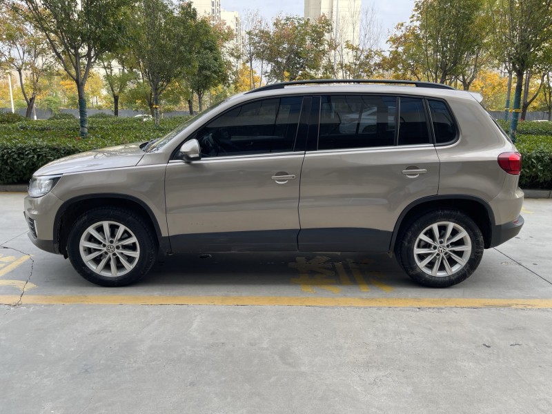 17年济宁大众途观