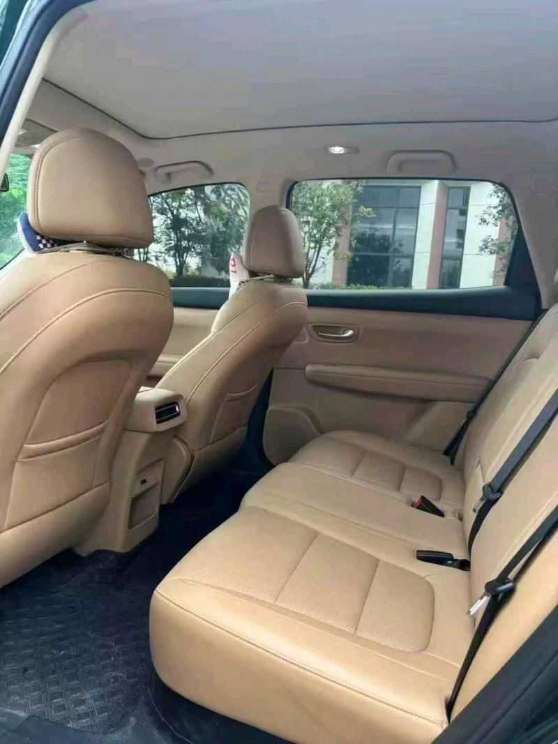 24年广州东风蓝电E5