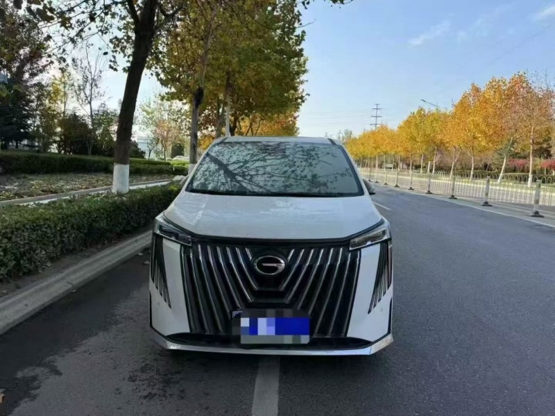 24年枣庄传祺M8/GM8