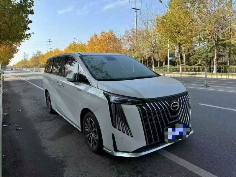 24年枣庄传祺M8/GM8