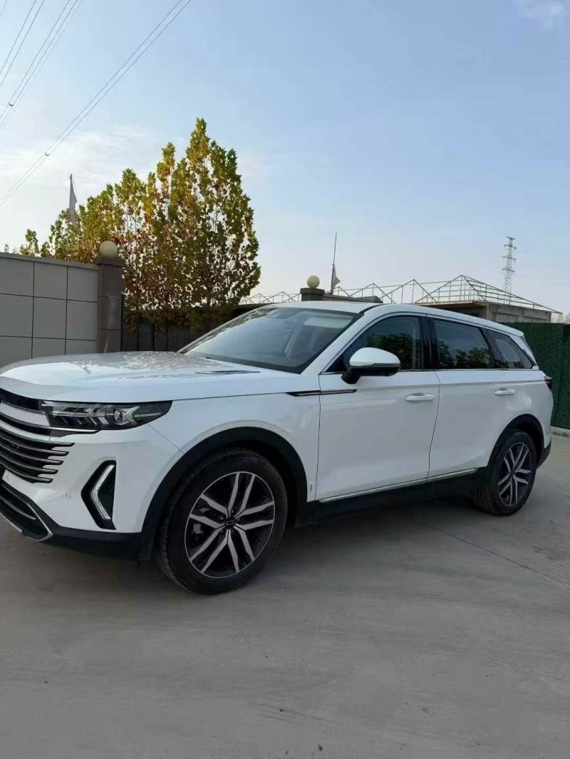 24年淄博奔腾T99