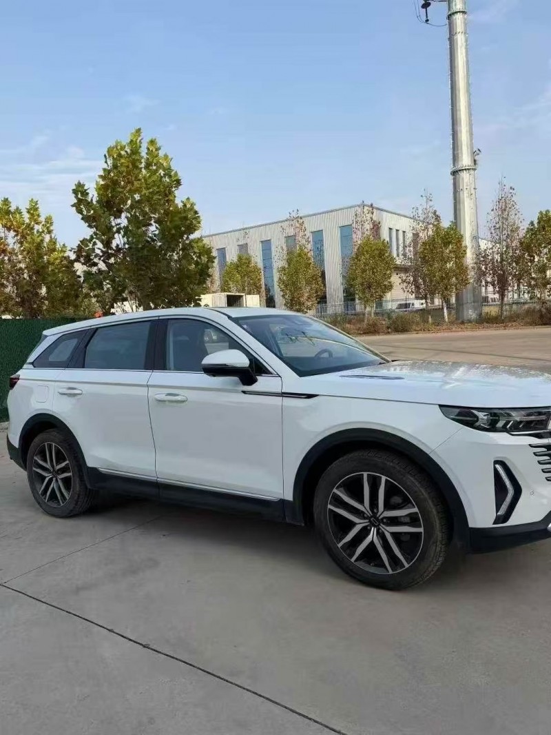 24年淄博奔腾T99