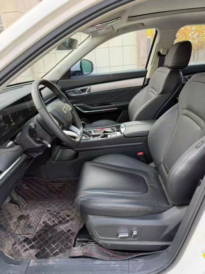 24年淄博奔腾T99