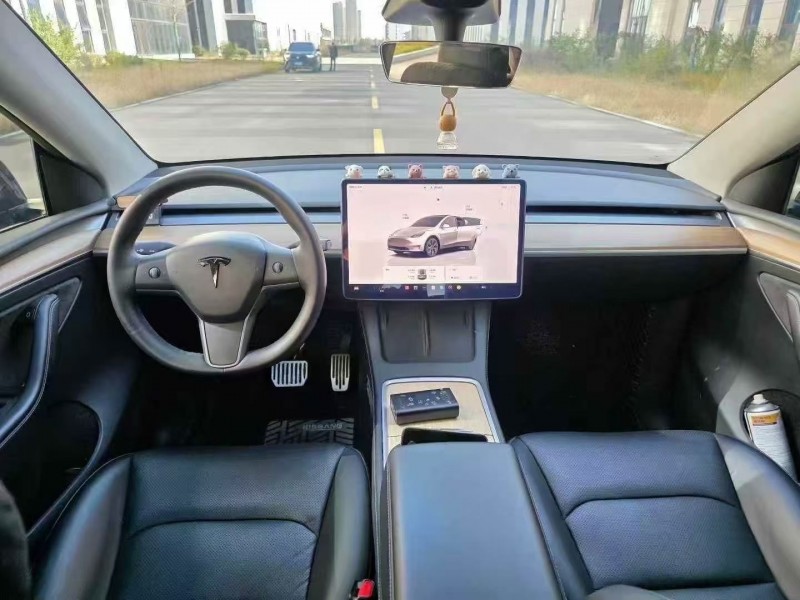 22年枣庄特斯拉MODEL Y