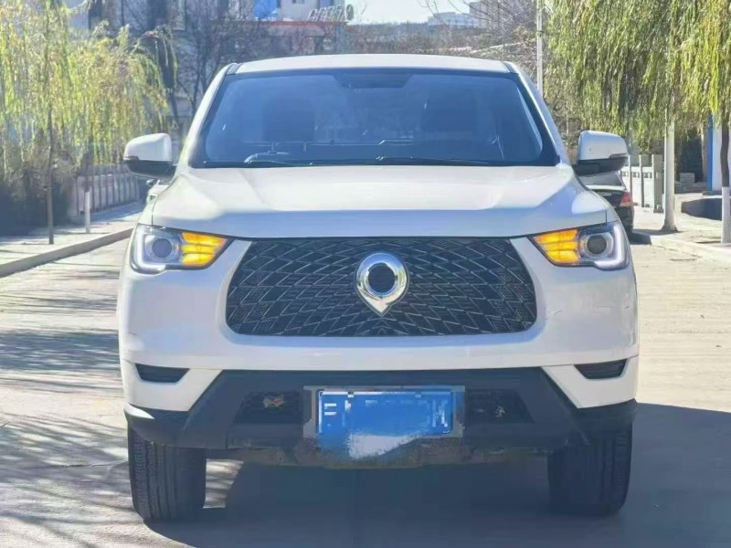 21年银川长城汽车炮 皮卡