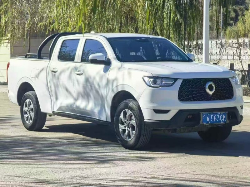 21年银川长城汽车炮 皮卡