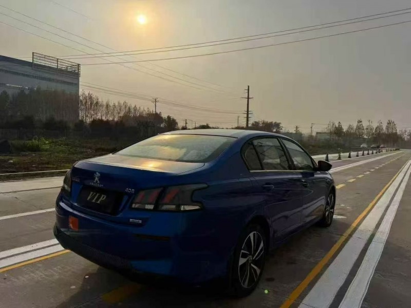 19年荷泽标致408