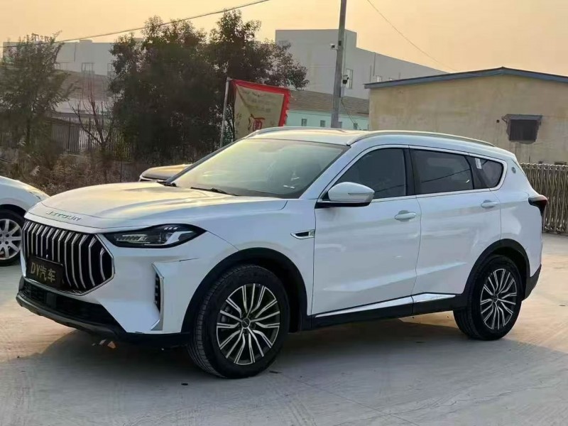 24年荷泽奇瑞江豚