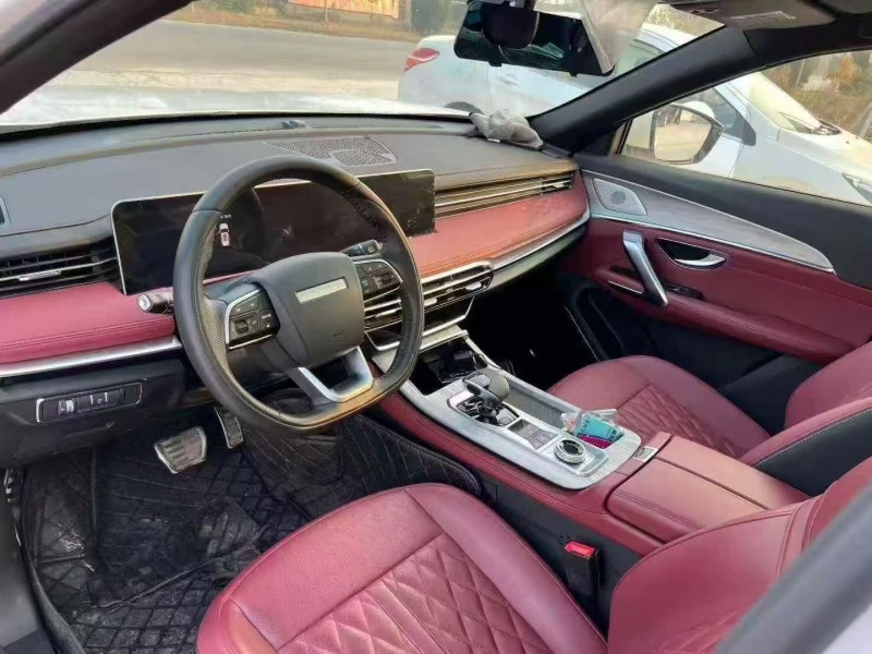 24年荷泽奇瑞江豚