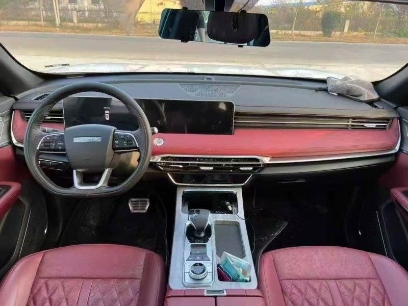 24年荷泽奇瑞江豚