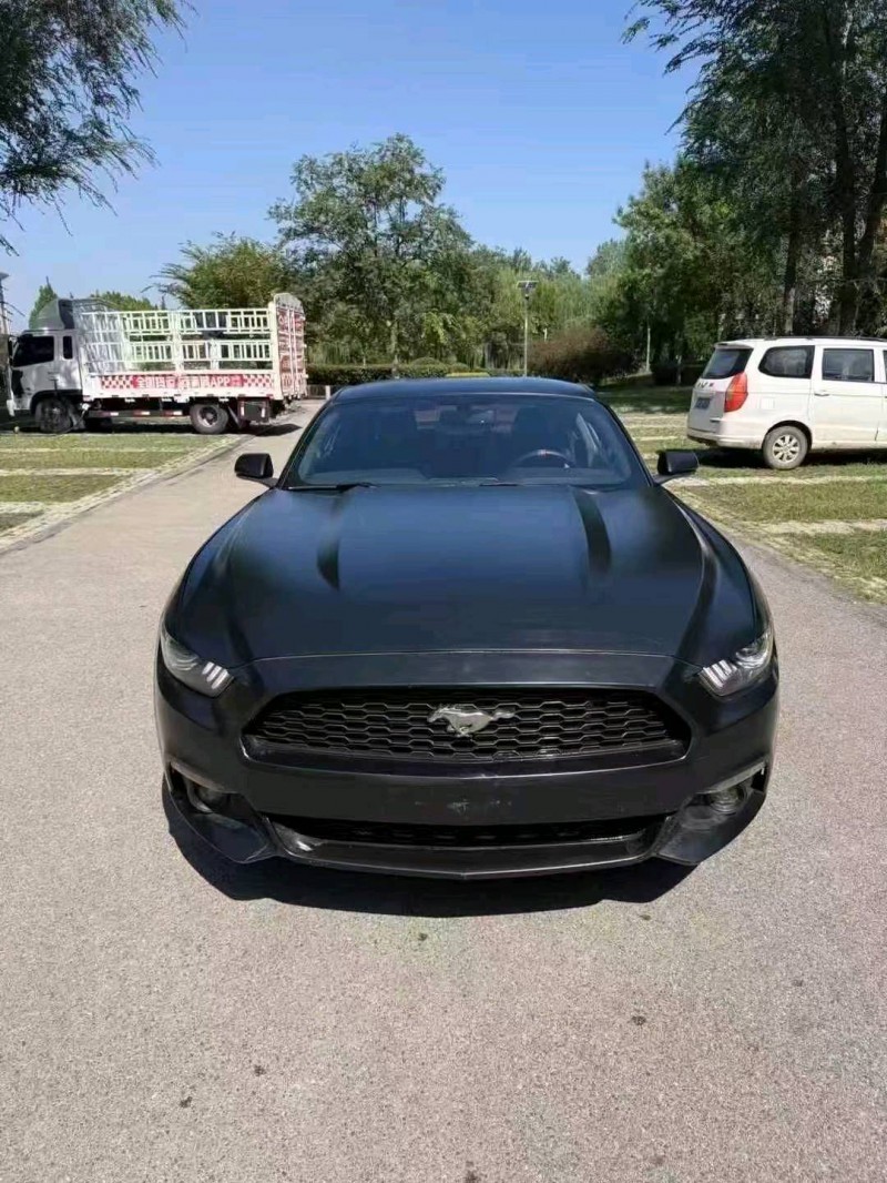 17年枣庄福特野马