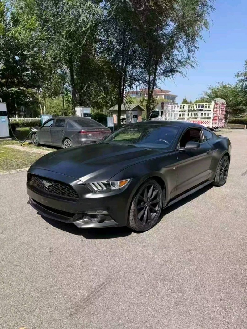 17年枣庄福特野马