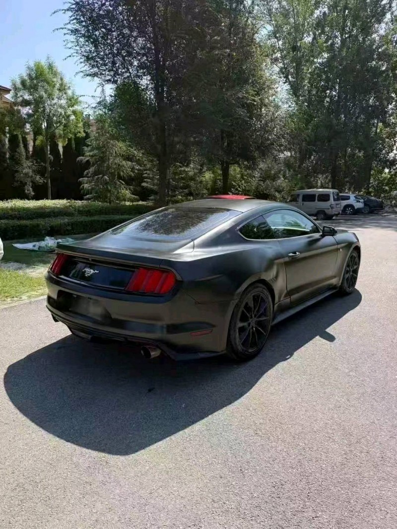 17年枣庄福特野马