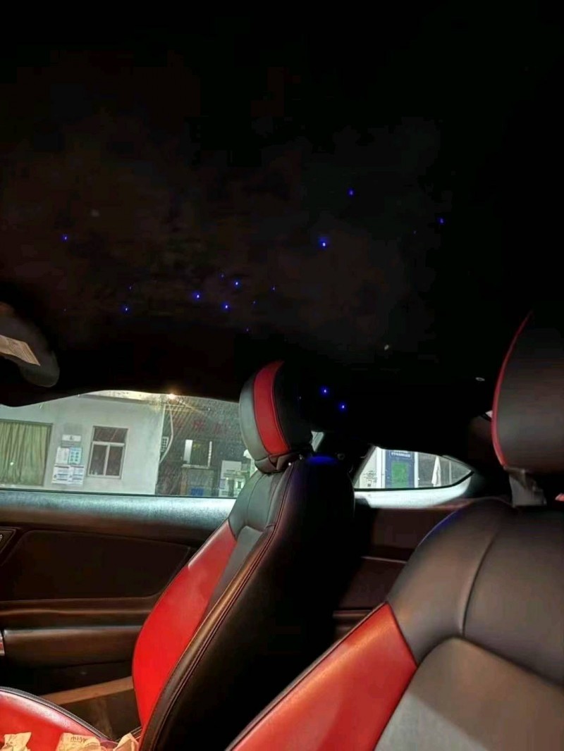 17年枣庄福特野马