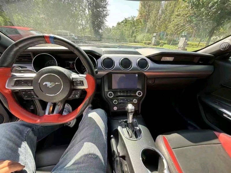 17年枣庄福特野马