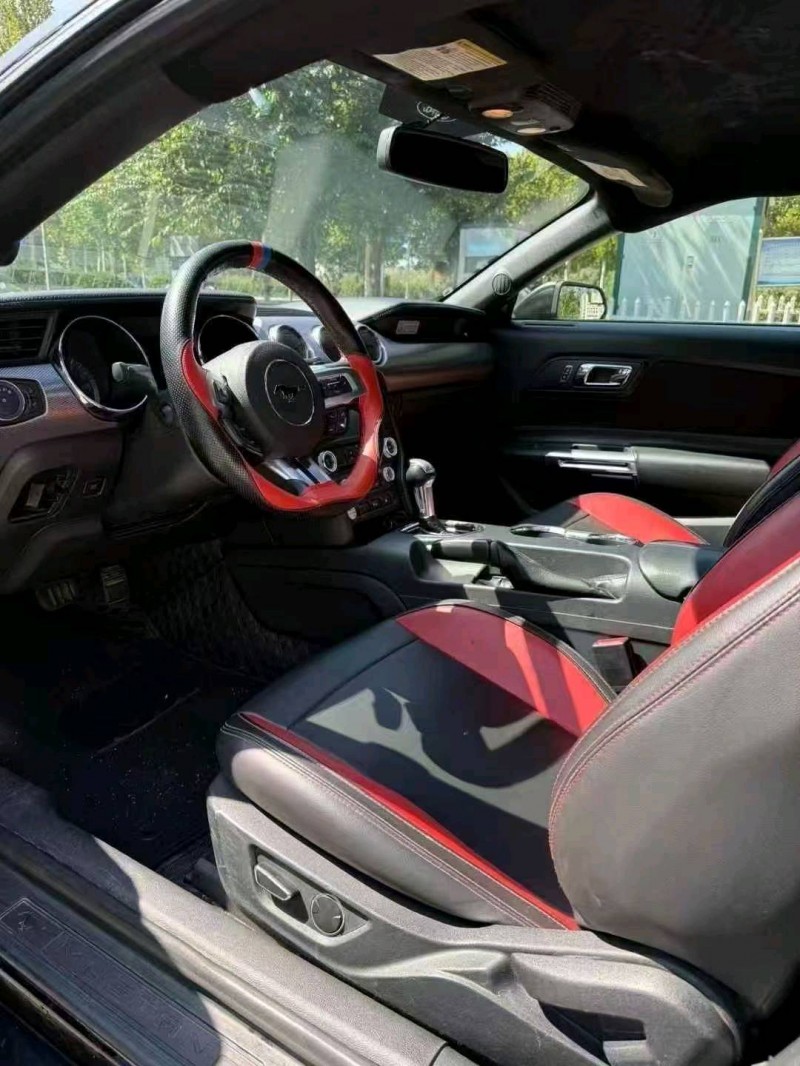 17年枣庄福特野马