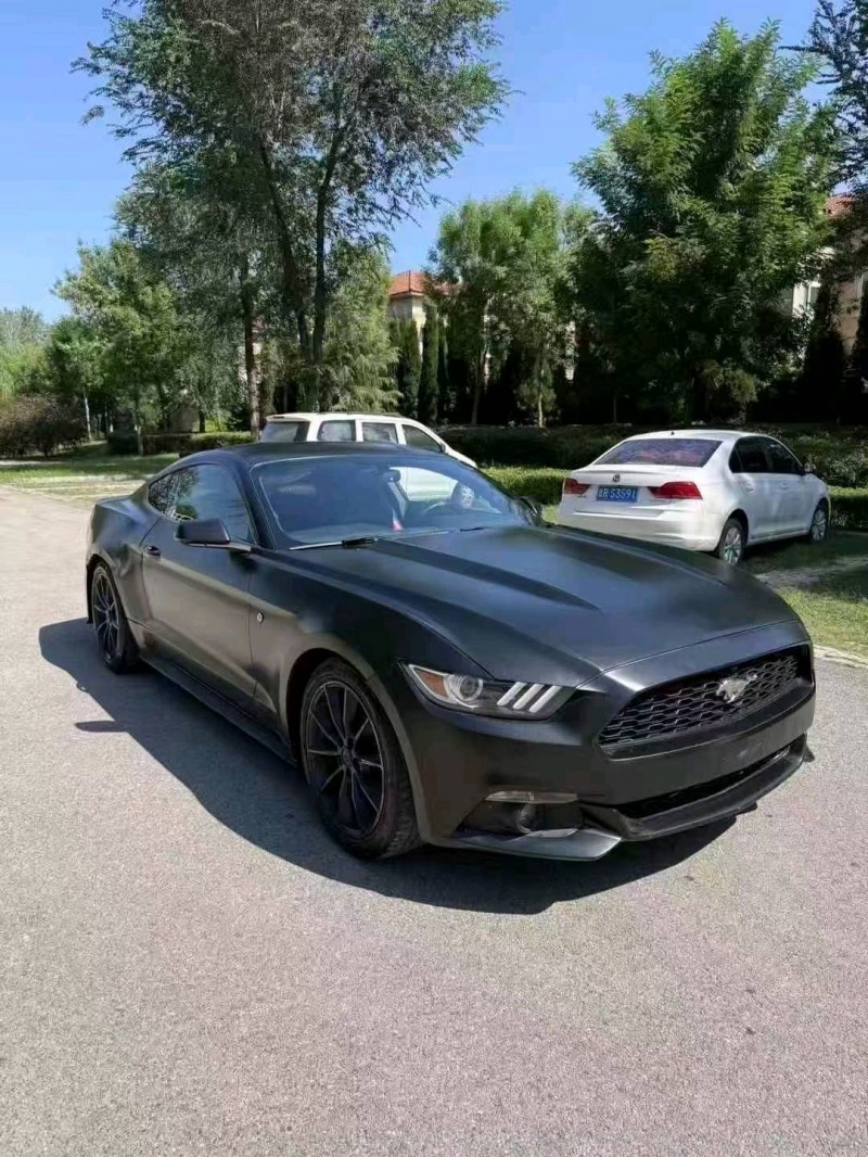 17年枣庄福特野马