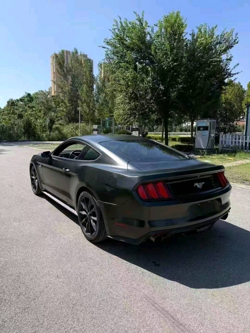 17年枣庄福特野马