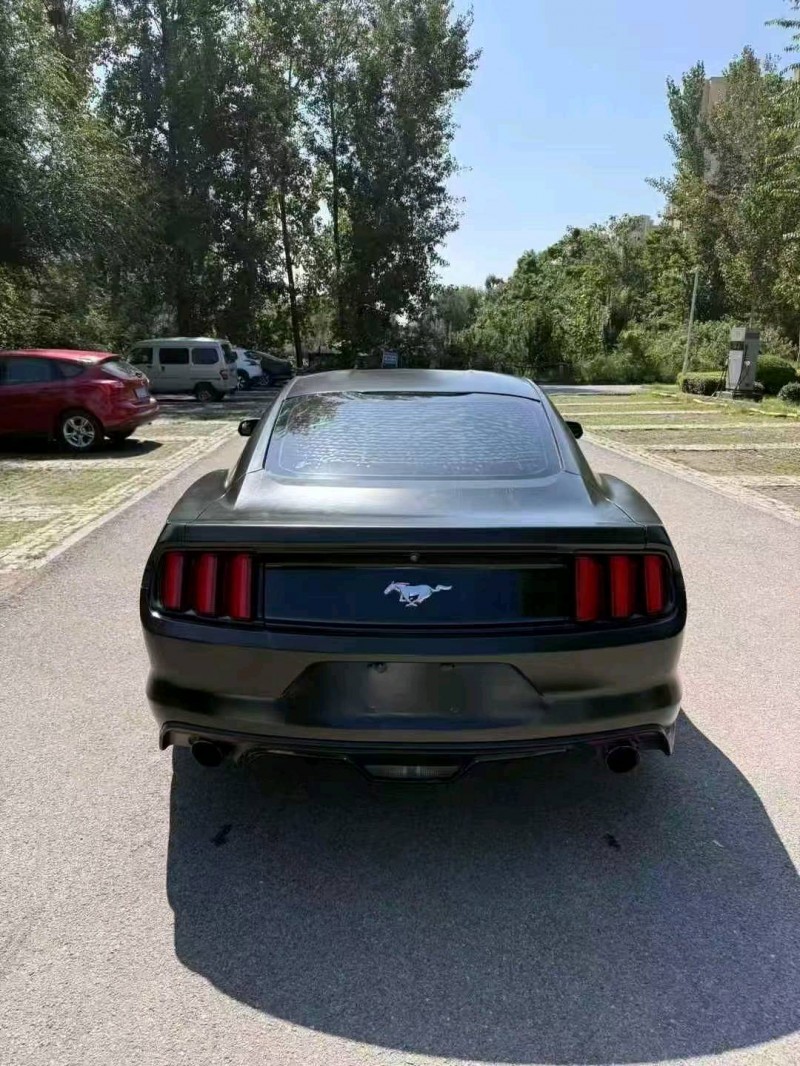 17年枣庄福特野马