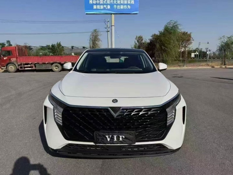 22年徐州启辰大V