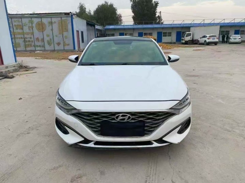 20年东营现代菲斯塔