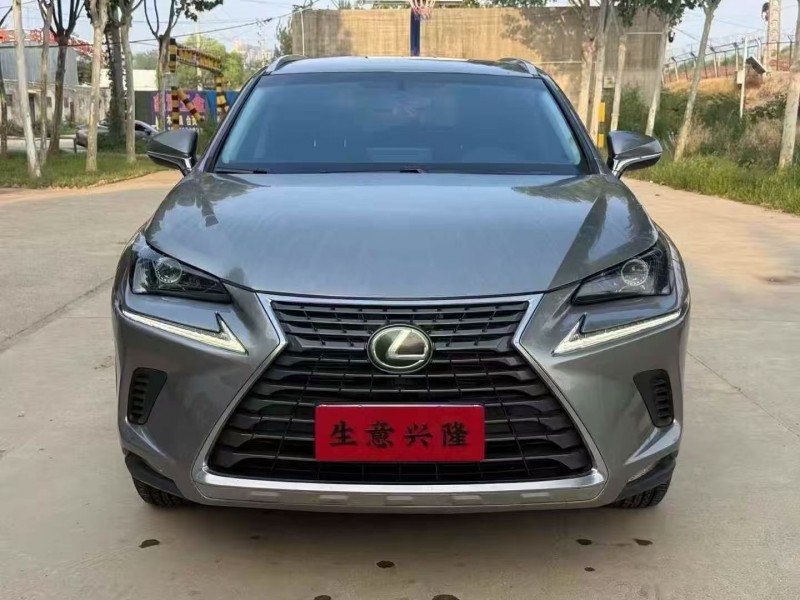21年平顶山雷克萨斯NX