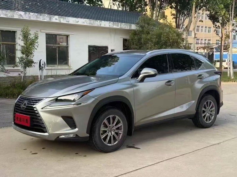 21年平顶山雷克萨斯NX
