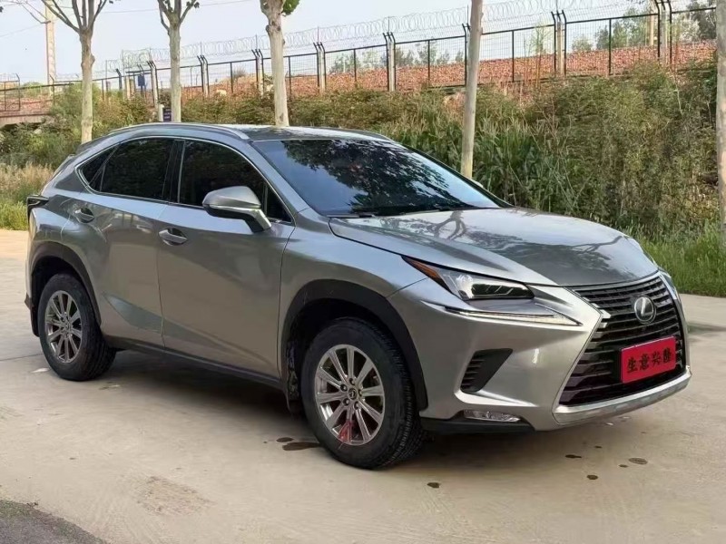 21年平顶山雷克萨斯NX