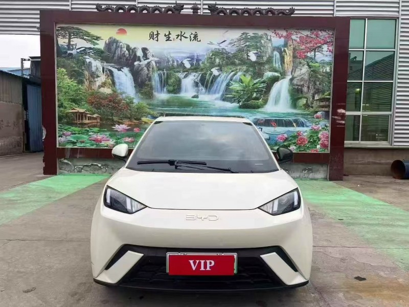 24年淄博比亚迪海鸥