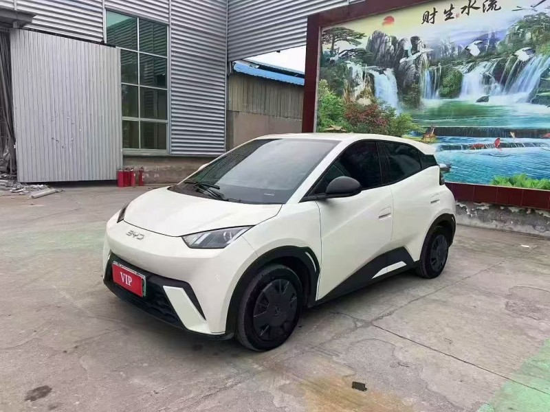 24年淄博比亚迪海鸥