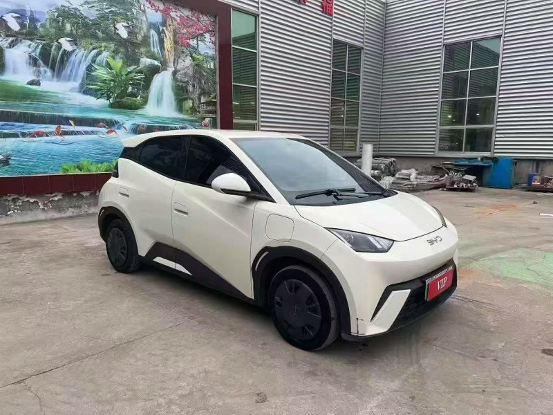 24年淄博比亚迪海鸥