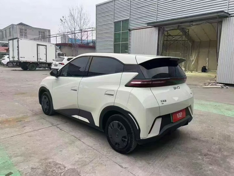 24年淄博比亚迪海鸥